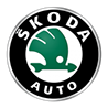 Ремонт DSG Skoda